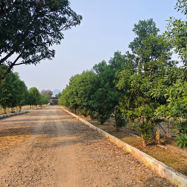 Serenity Gardens - Vizag